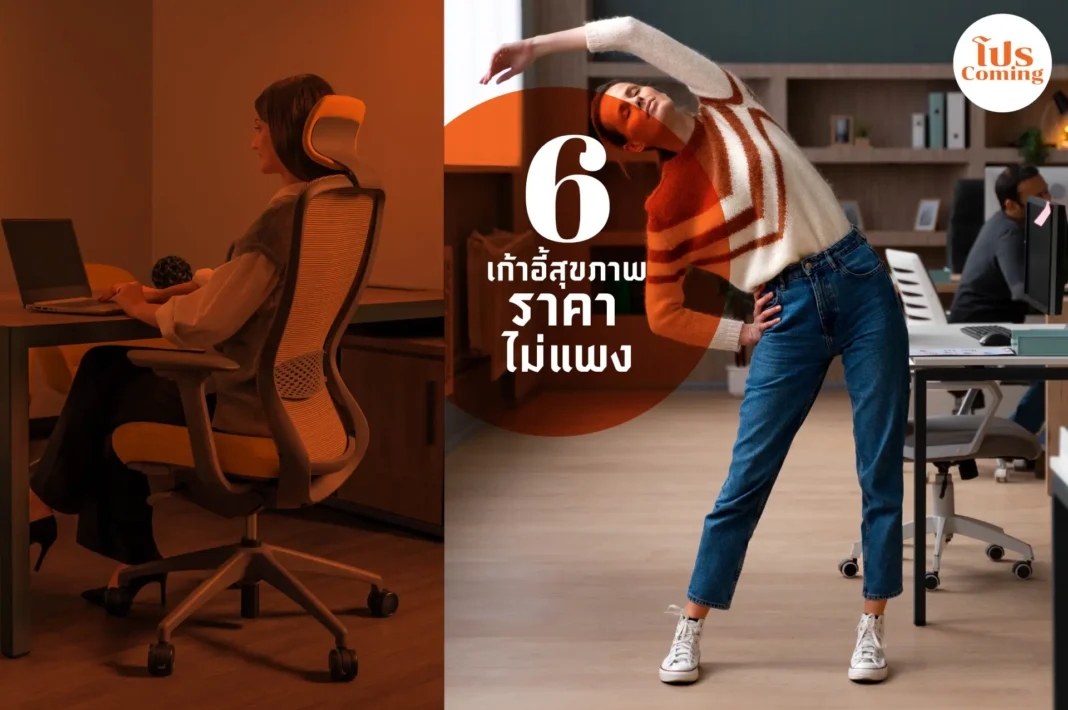 top ergonomic chair budget 5000